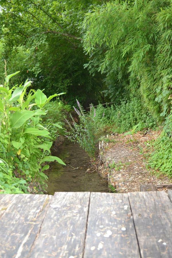 Manoir Le Bourg, Touffailles别墅 外观 照片